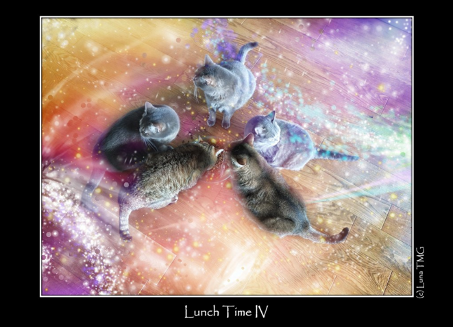 Lunch Time IV © Luna TMG Lunch Time IV © Luna TMG
