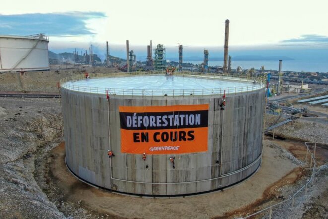 La désastreuse tentation de l’huile de palme