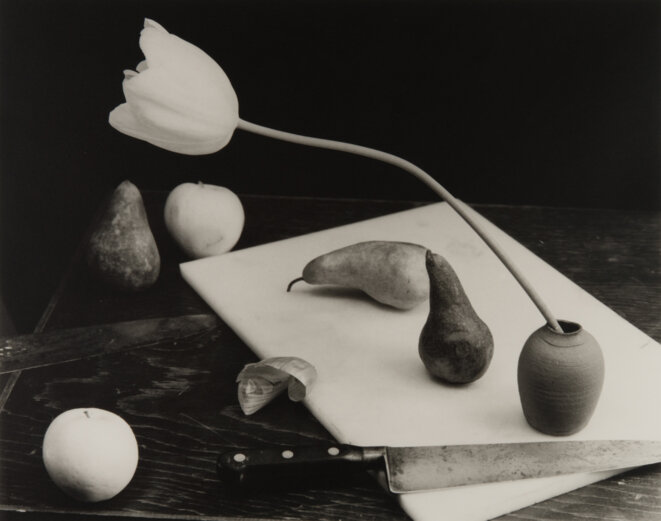 Jan Groover, "Sans titre", ca. 1985, Epreuve au gélatine-bromure d'argent, 30,3 x 38,1 cm, réf. B163.2 © Musée de l'Elysée, Lausanne Fonds Jan Groover Jan Groover, "Sans titre", ca. 1985, Epreuve au gélatine-bromure d'argent, 30,3 x 38,1 cm, réf. B163.2 © Musée de l'Elysée, Lausanne Fonds Jan Groover