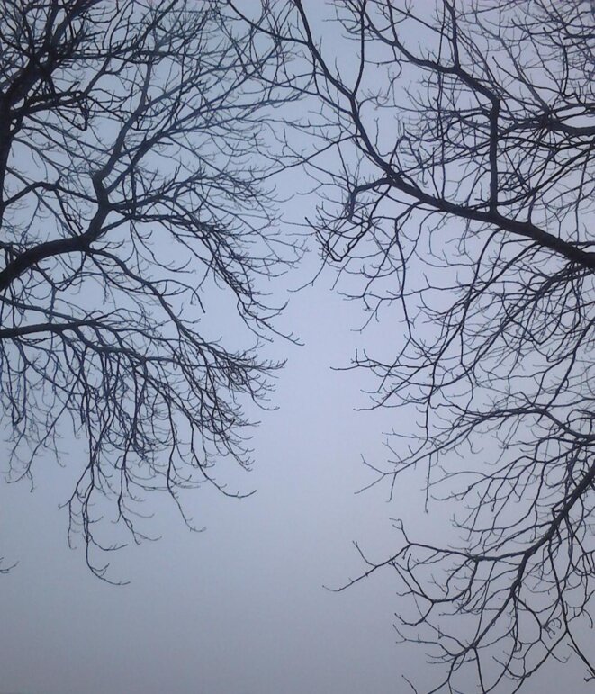 Silence © Maud Assila Silence © Maud Assila