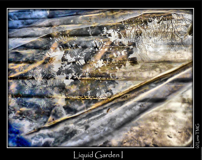 Liquid Garden I © Luna TMG Liquid Garden I © Luna TMG