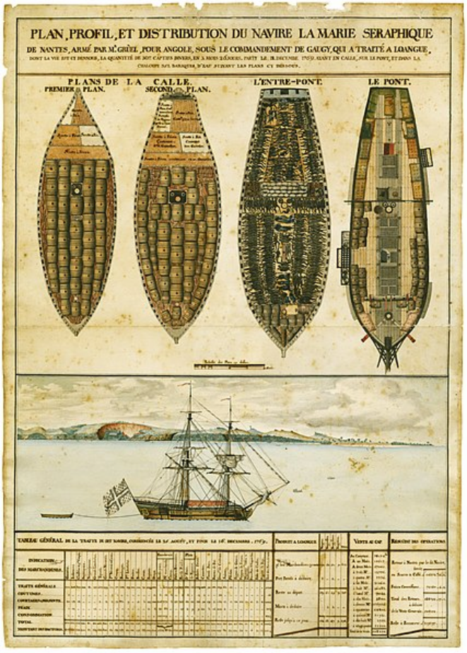 « Plan, profil et distribution du navire "La Marie séraphique" ». © Musée d'histoire de Nantes