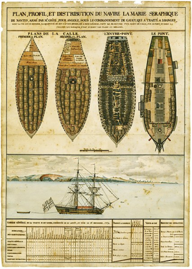 « Plan, profil et distribution du navire "La Marie séraphique" ». © Musée d'histoire de Nantes « Plan, profil et distribution du navire "La Marie séraphique" ». © Musée d'histoire de Nantes