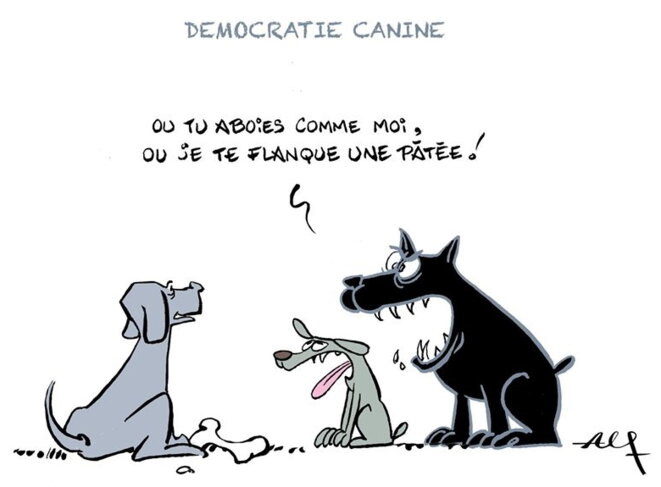 «La tolérance, c'est pas fait pour les chiens.» © Alain Faillat (Alf) — avec l'aimable autorisation de l'auteur. «La tolérance, c'est pas fait pour les chiens.» © Alain Faillat (Alf) — avec l'aimable autorisation de l'auteur.