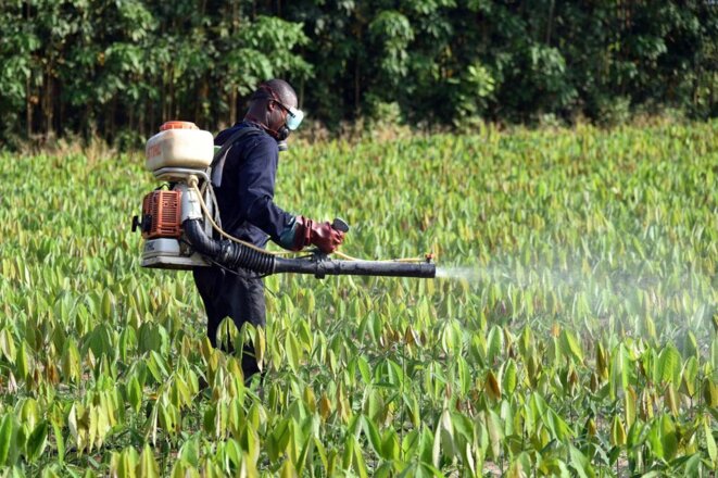 Exportation de pesticides interdits. Vous avez dit droits de l'Homme ?