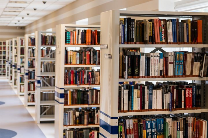 bibliotheque1