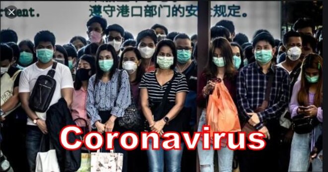 Le grand mystère du Coronavirus