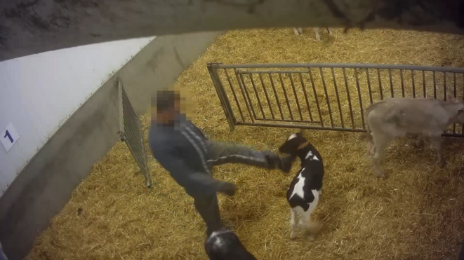 Contre la chape que l'on veut abattre sur les lanceurs et lanceuses d'alerte