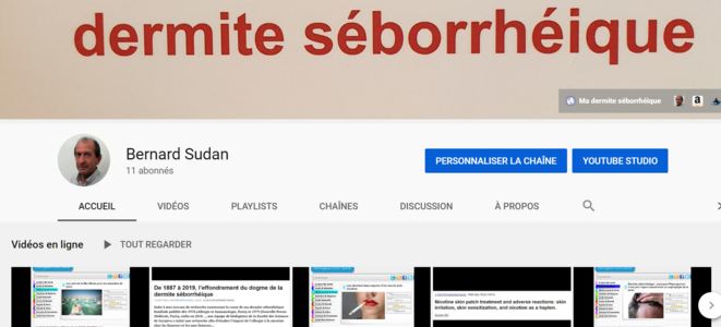 captureyoutubebernardsommaire