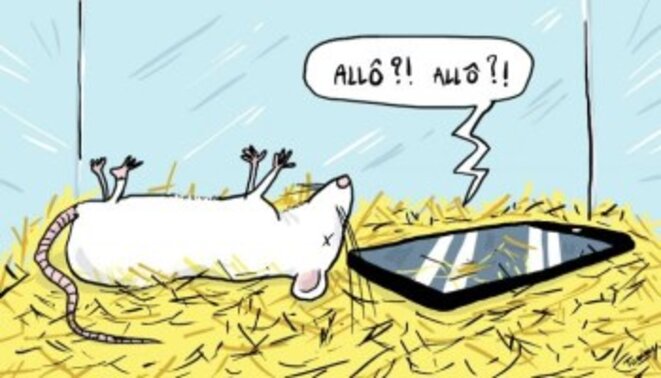 Nous ne sommes pas des cobayes ! Nous ne sommes pas des cobayes !