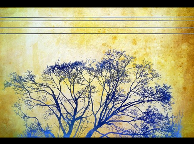 4 Lines / Lignes © Luna TMG 4 Lines / Lignes © Luna TMG