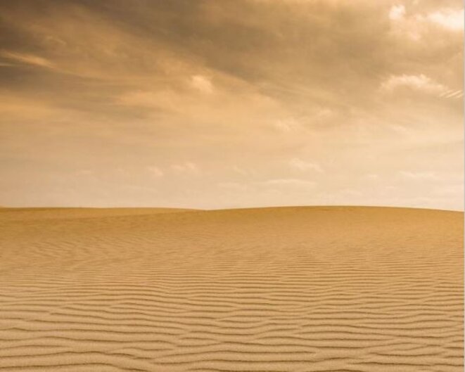 sahara-actuel