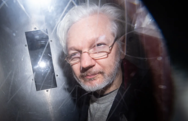 assange-bmsh