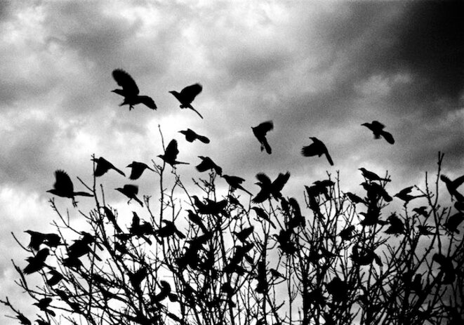 Sommaire du numéro 98