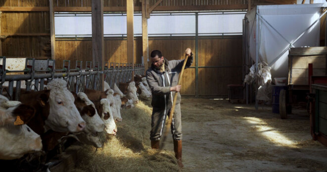 Cyrille, agriculteur, 30 ans, 20 vaches, du lait, du beurre, des dettes