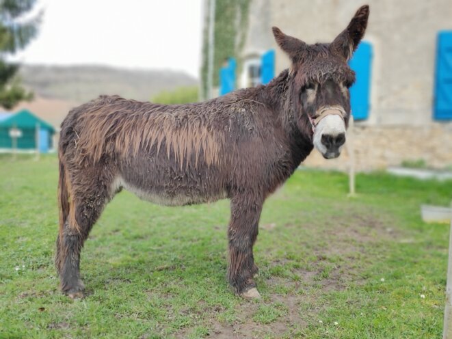 Corona Virus : avantage collatéral