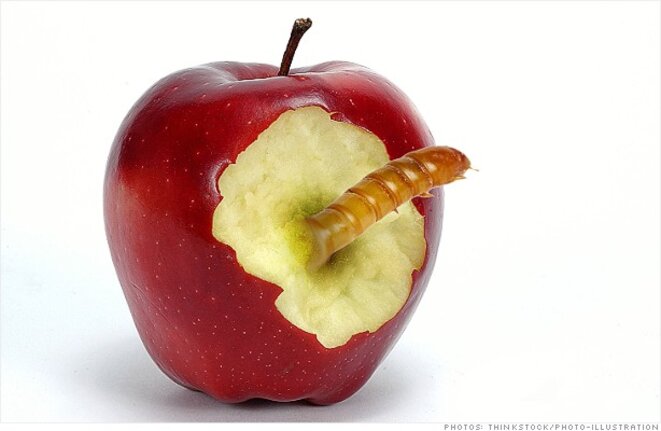 apple-worm-blog