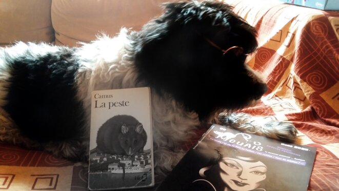 In fine, nous sommes confinés