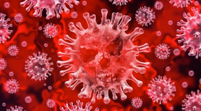 Le virus Le virus