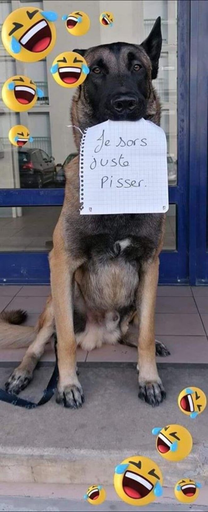 2020-03-18-justepourpisser