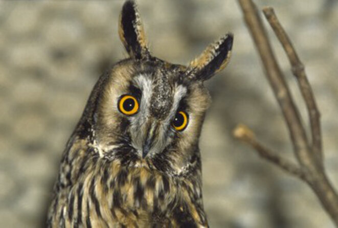 Et si on se marrait un peu moins [J2]