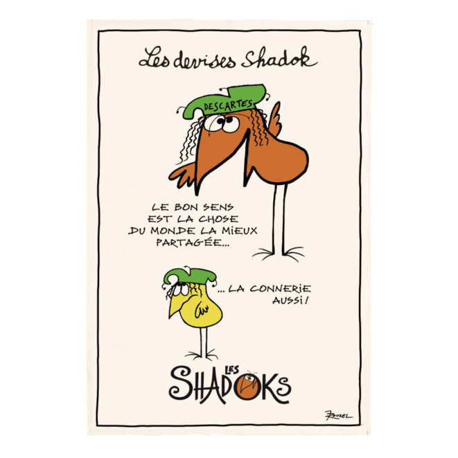 shadoks-bon-sens