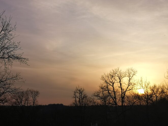 Ce que le coronavirus me dit / Ép. 2 / Songe d'un soir de printemps