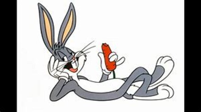 bunny-carotte