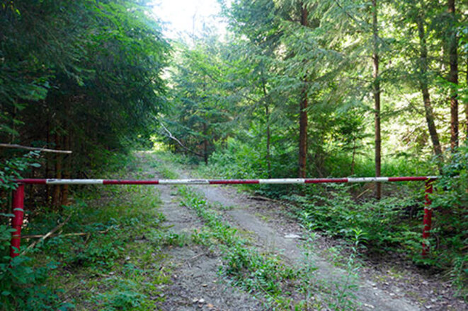 barriere-foret