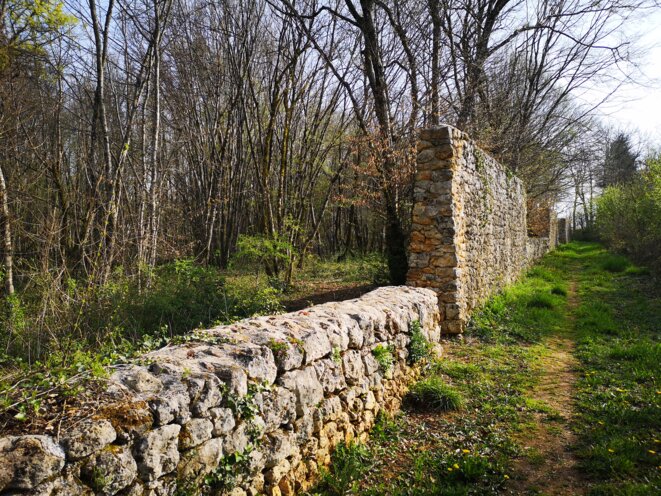 Ce que le coronavirus me dit / Ép. 4 / Coronavirus et psychiatrie ?