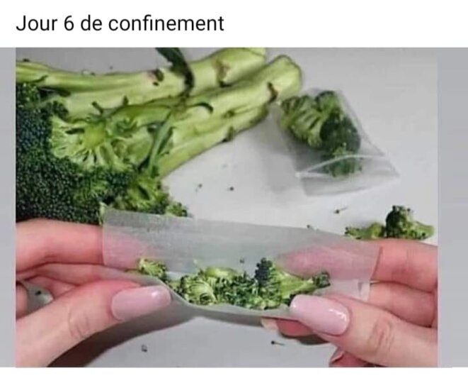 brocoli
