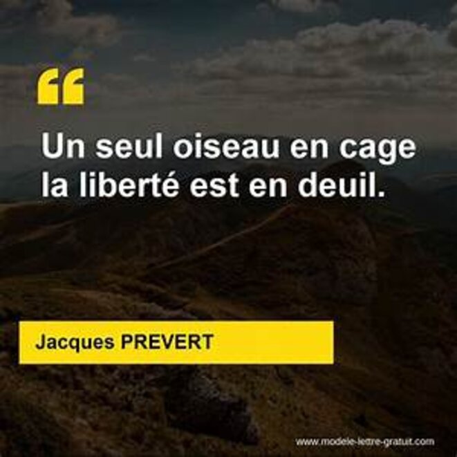 cage-deuil