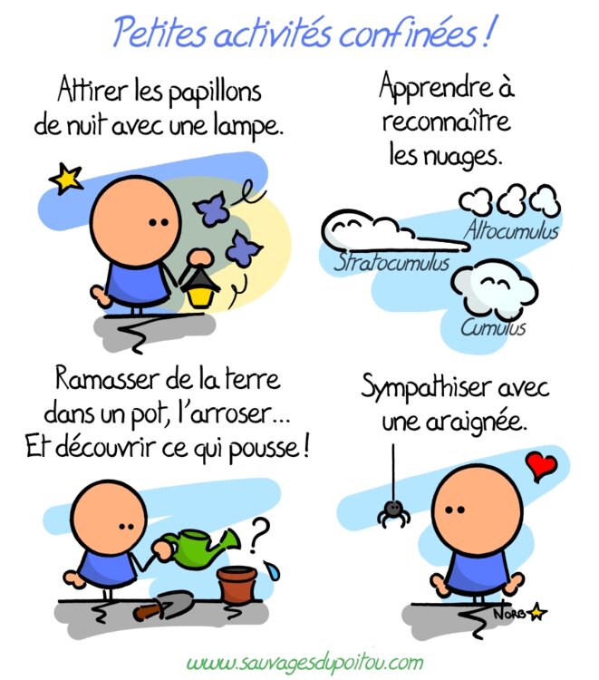 Petites activités confinées