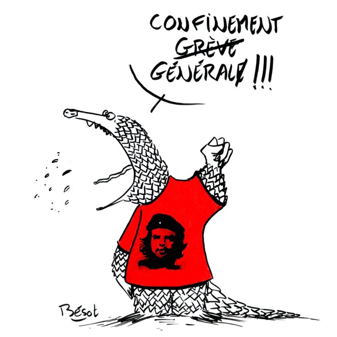 Connerie de confinement #2