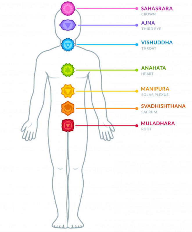Les principaux chakras Les principaux chakras