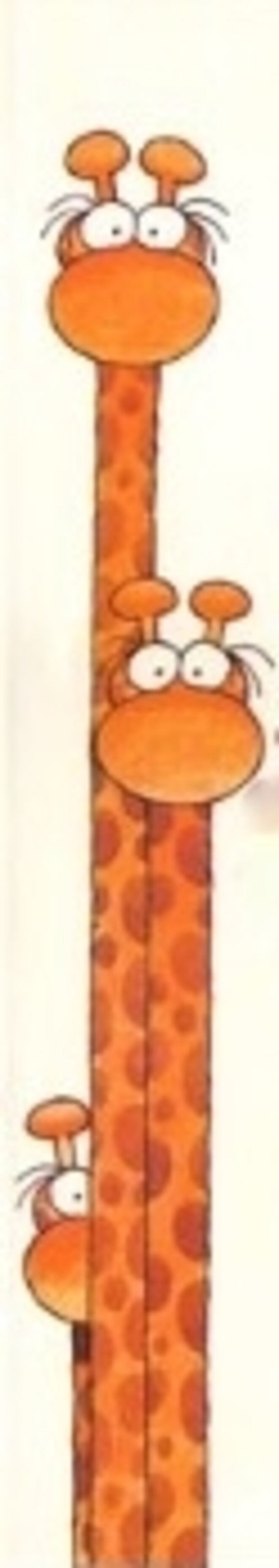 girafes-62x348-copie