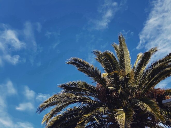 En Quarantaine - 26 mars 2020