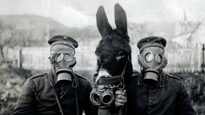 guerre-des-masques