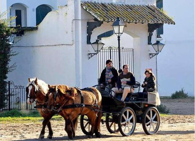 caballo