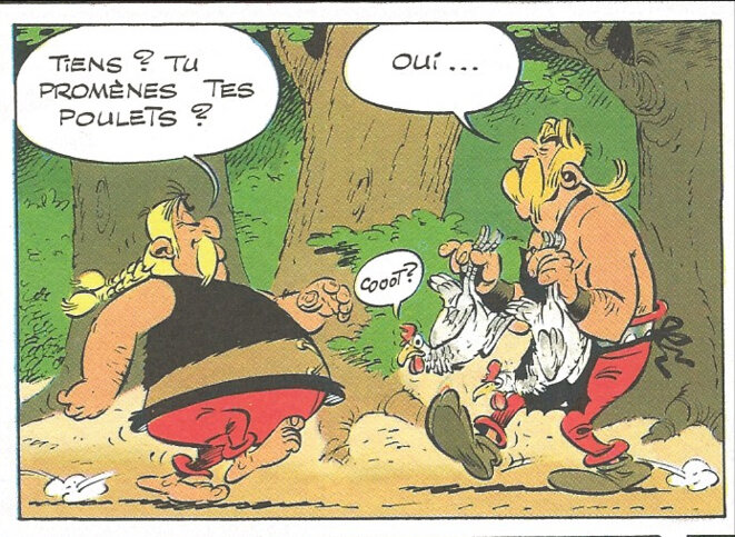 cetautomatix-poulets
