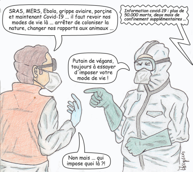 © Jérôme Henriques © Jérôme Henriques