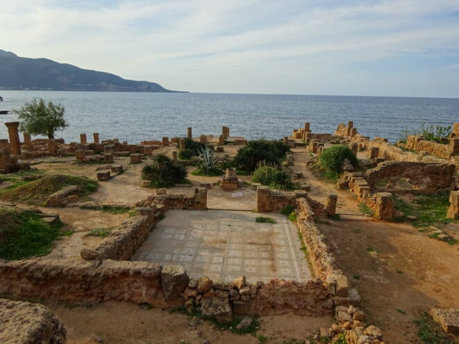 dsc03466