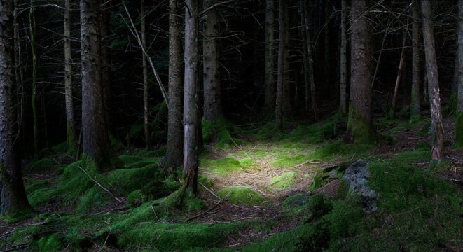 The Gloaming 1, 2011 © Ellie Davies The Gloaming 1, 2011 © Ellie Davies