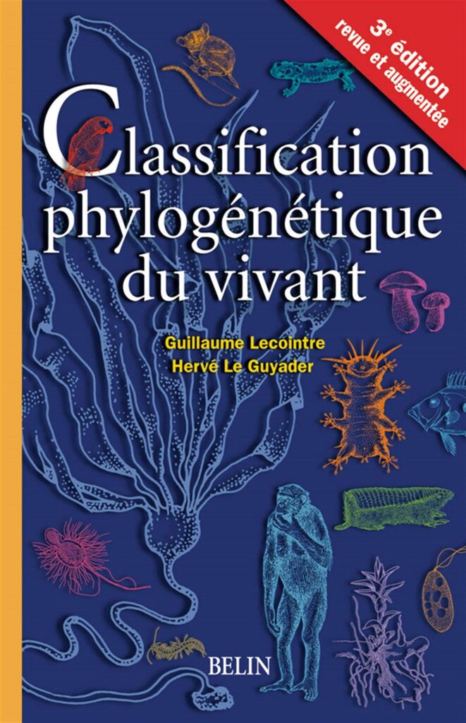 Le gamétophyte porte de petites feuilles