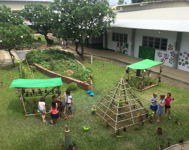 Cultiver notre jardin pour se ressourcer, par Sylvie Adolphe