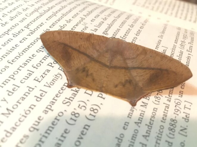 Renversement des pôles, par Bruno Tackels