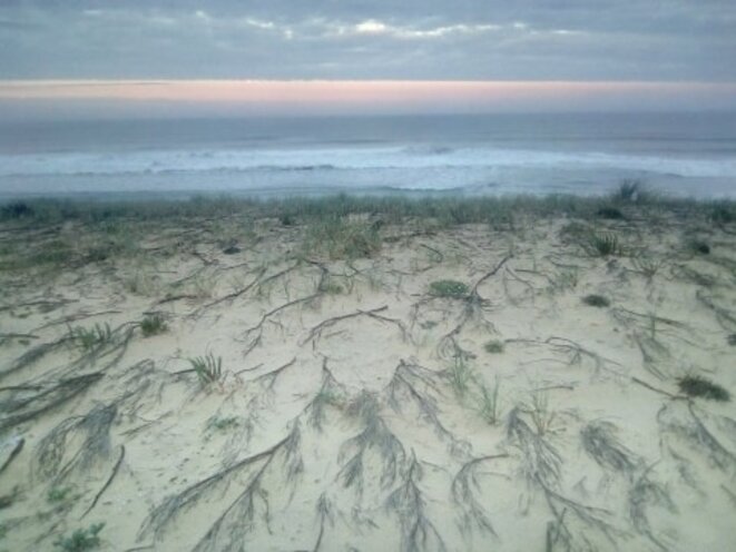 dunes