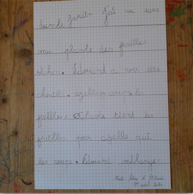 Le trésor perdu, les feuilles sèches et le salon de Tom