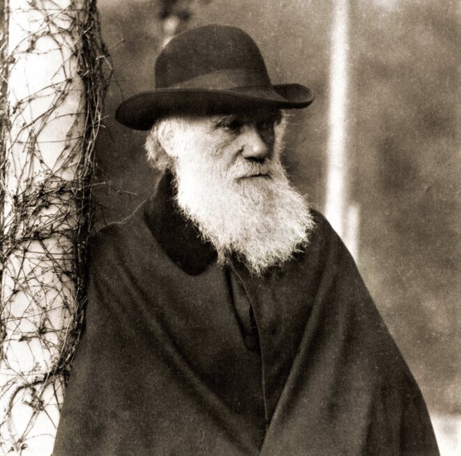 L'écho de Charles Darwin
