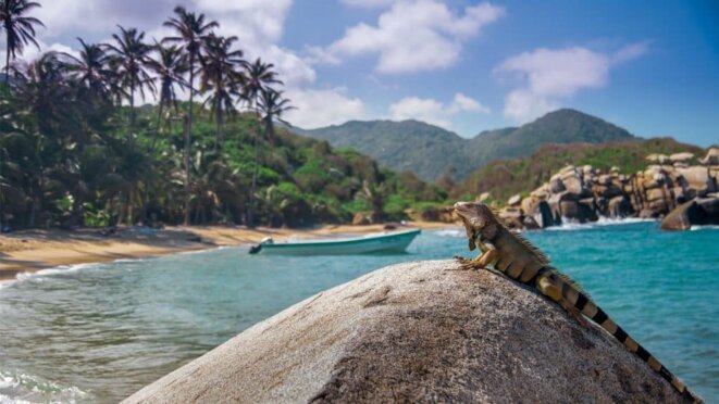 Pachamama, Antigone et monde d’après, par Bruno Tackels.